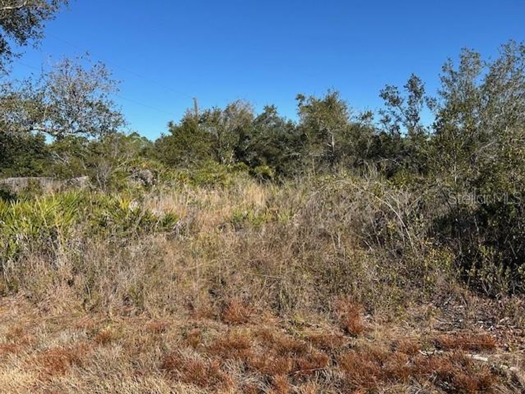 Photo of Punta Gorda, FL 33982 (MLS # C7521166)