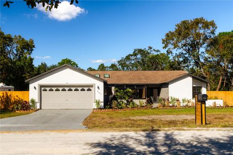 9053 NAKOMA WAY WEEKI WACHEE FL 34613