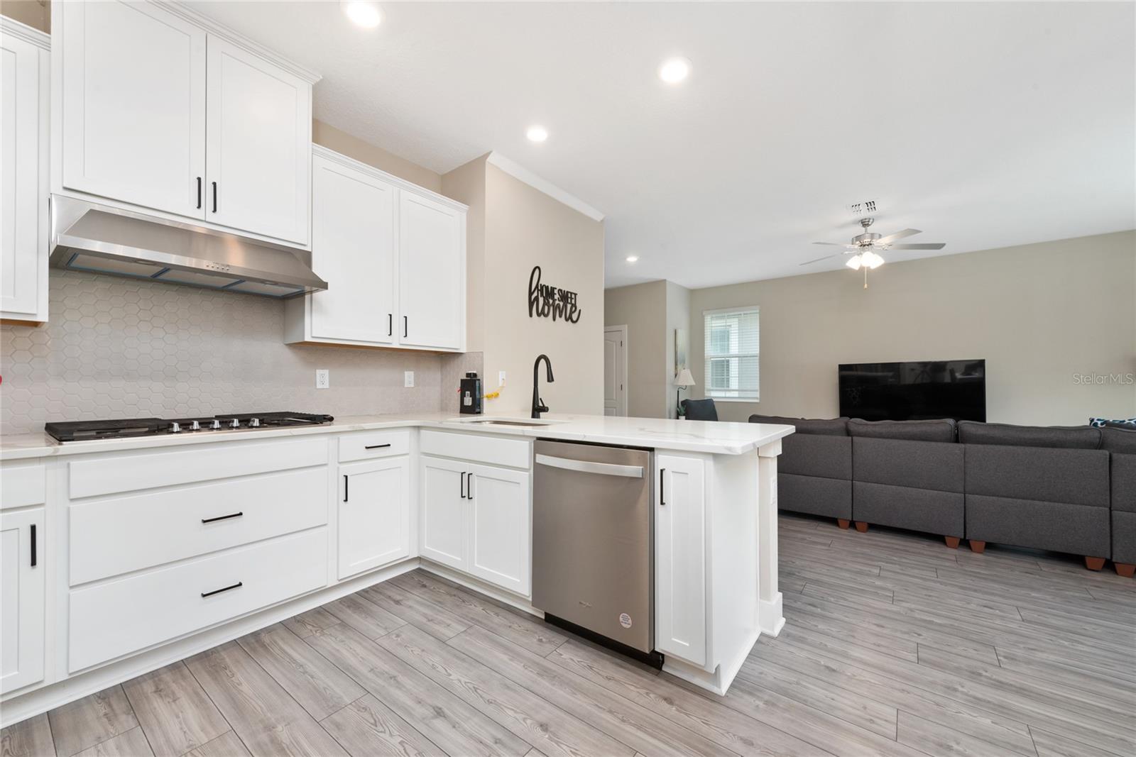 REUNION VILLAGE PH 3 REP - Residential