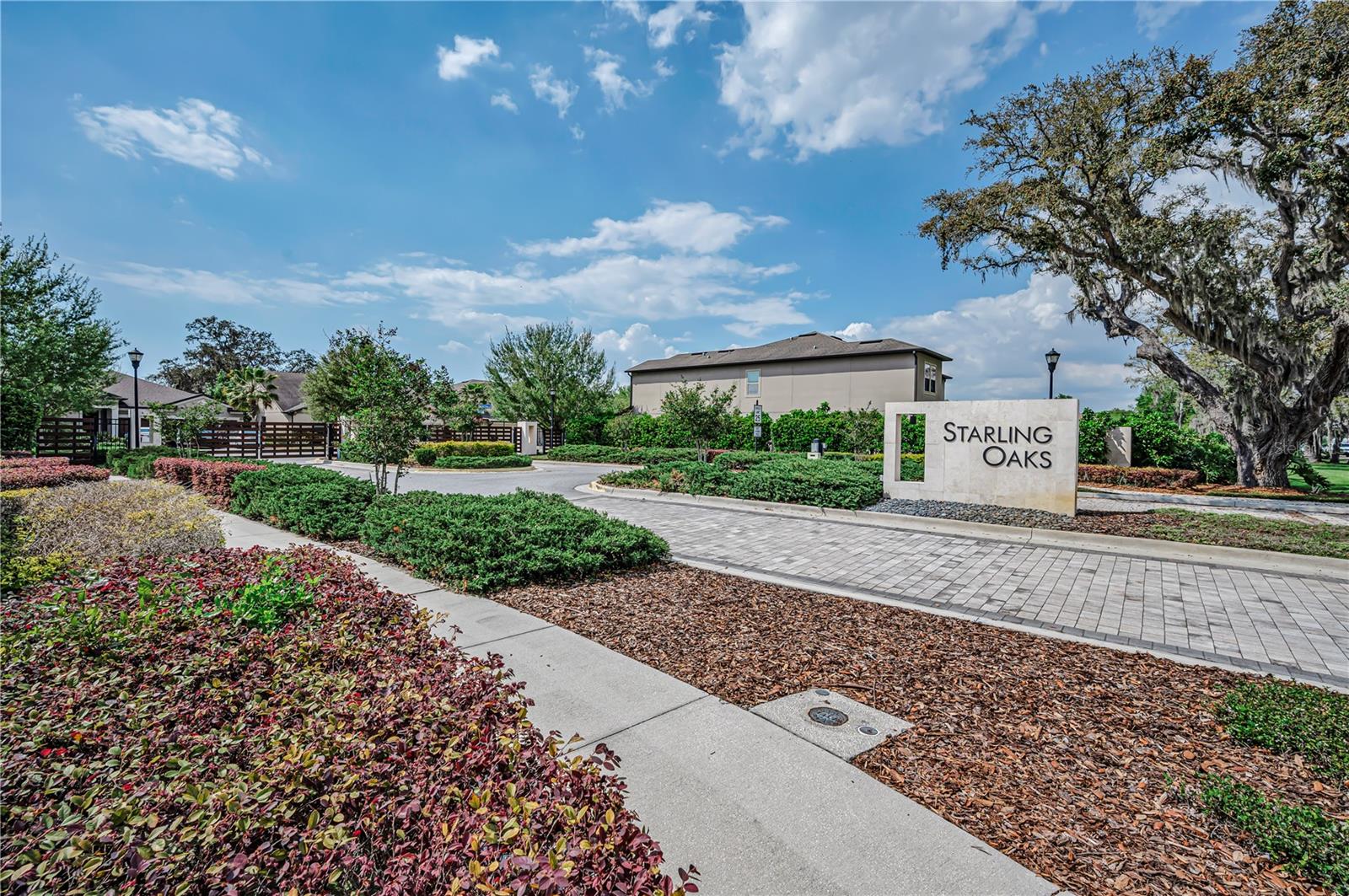 STARLING OAKS - Residential