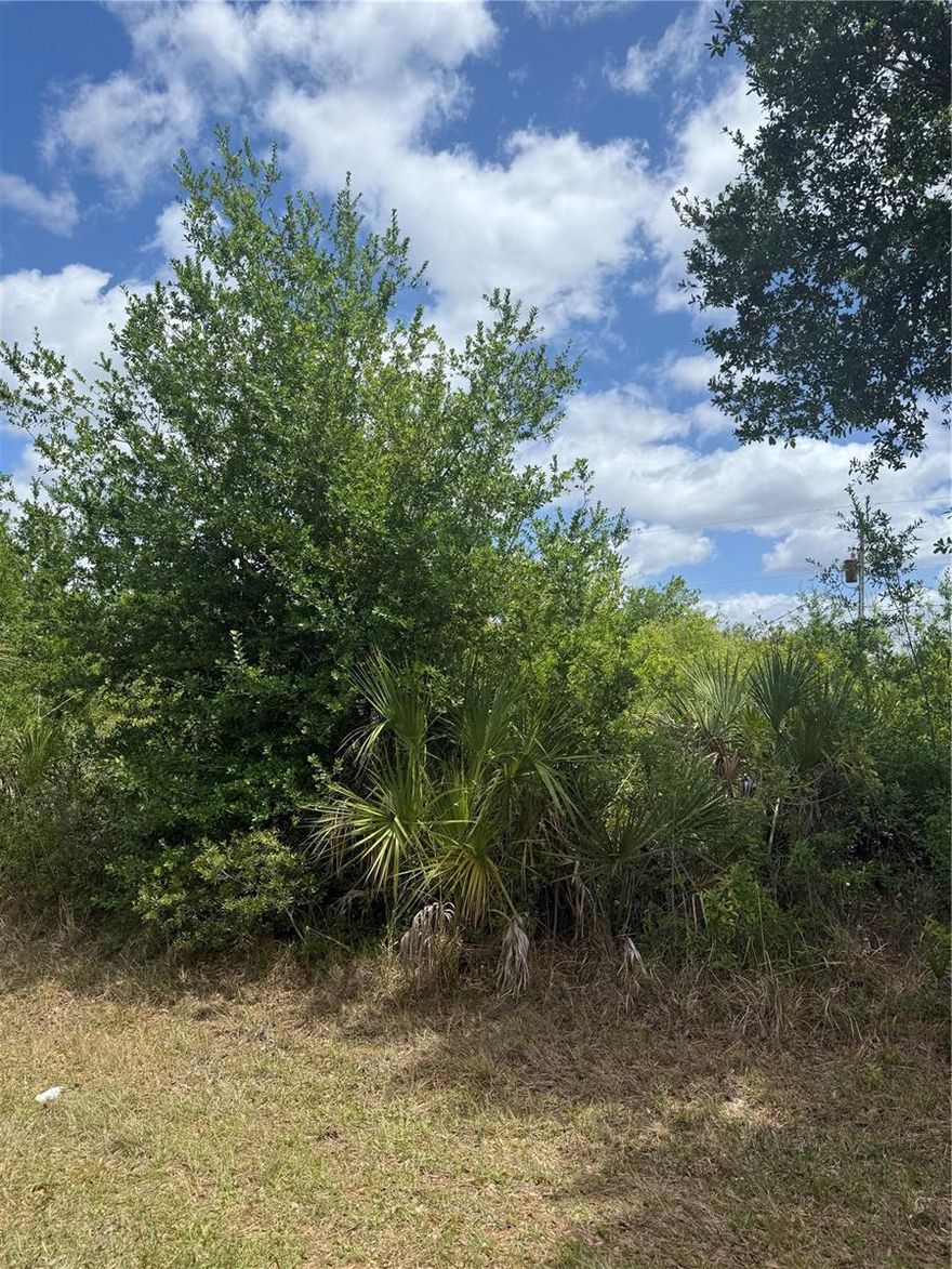 Build your Florida dream home on this ideally located 80x125 (approx. 10,000 sq ft) lot in the growing community of Port Charlotte. Situated on a quiet residential street at 12090 Zittel Ave, this property offers the perfect canvas to design and build a custom home tailored to your lifestyle—from a modern open-concept residence with high ceilings and expansive sliders to a pool home with a spacious lanai for true indoor-outdoor Florida living.

With ample dimensions, the lot provides flexibility for a variety of floor plans, including room for a 2- or 3-car garage, outdoor kitchen, and private pool. The area is seeing steady growth with newly built homes and ongoing development, making it an attractive location for both end users and investors looking to capitalize on rising property values.

Enjoy the convenience of nearby shopping, dining, and everyday essentials, while also being just a short drive to world-class golf courses, marinas, and the stunning Gulf Coast beaches. The property is not located in a gated community, giving you more freedom in design and construction, and allowing you to choose your own builder and timeline without HOA restrictions.

Whether you are planning to build your primary residence, a seasonal getaway, or an income-producing investment property, this lot offers the location, size, and potential to bring your vision to life in one of Southwest Florida’s most promising areas.