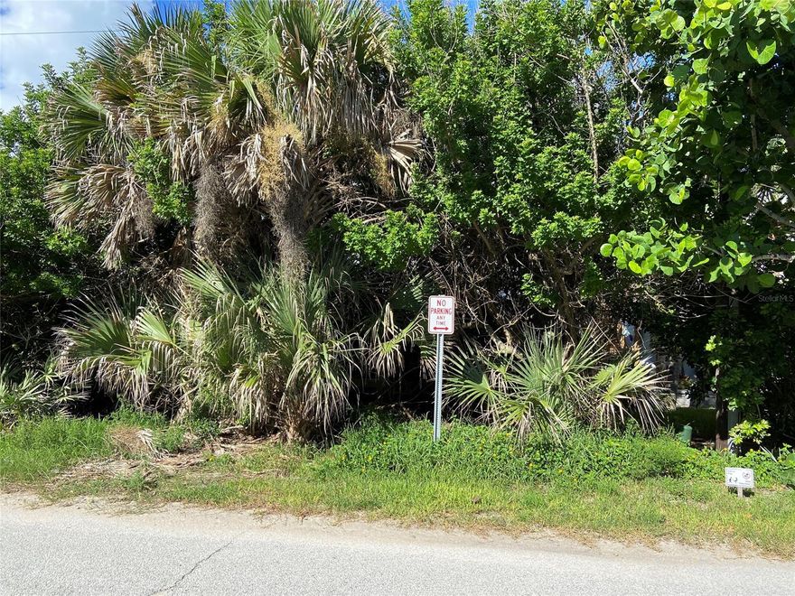 Rare vacant lot with views of Atlantic Ocean, across the street from the beach. Ocean views and River views with a 2 or 3 story home or vacation home. Move away from the rest of the world to this beach town retreat near the beach walkover.; Cleared: No