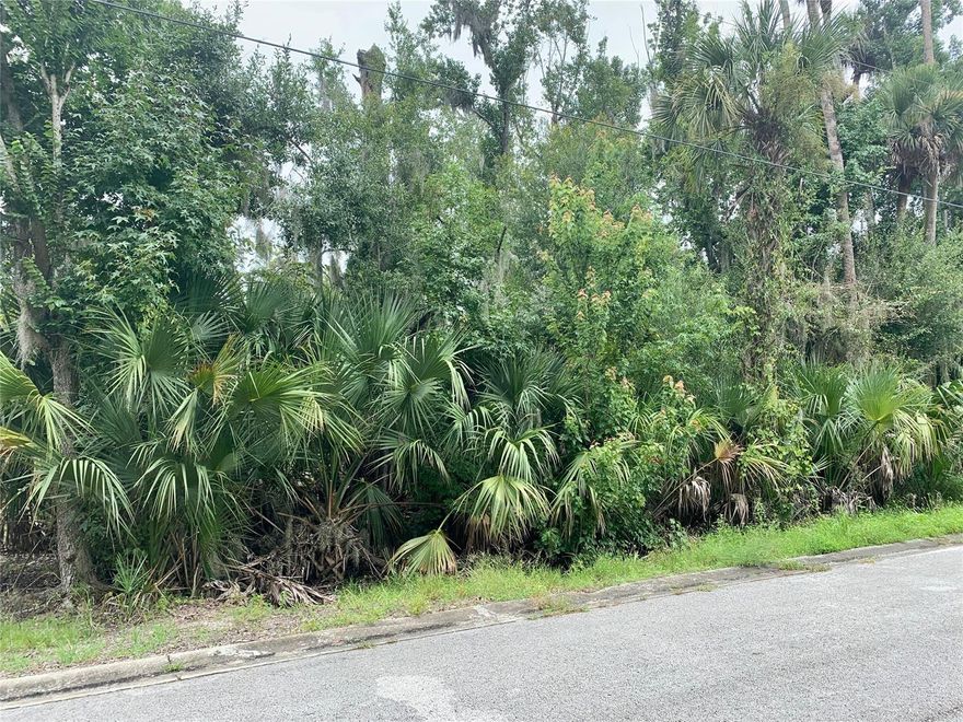 Location, Location, Location!!! This large residential lot in the well-established Corbin Park subdivision in New Smyrna Beach is ready for a new home. Create your own adventure on a quiet paved road centrally located only minutes to shopping, dining, and the beach.  This lot is 100x150 surrounded by site-built homes with oversized lots.  With some land clearing and fill dirt, this could be your piece of NSB paradise nestled into the back part of Corbin Park but just minutes from the beach.  This large residential lot in the well-established Corbin Park subdivision in New Smyrna Beach ready for a new home. Quick access to I-95 and SR44. Sold as-is. All information is thought to be reliable, but not guaranteed. Buyer to perform their own due diligence for their own feasibility.; Cleared: No ;Water: Available at Site