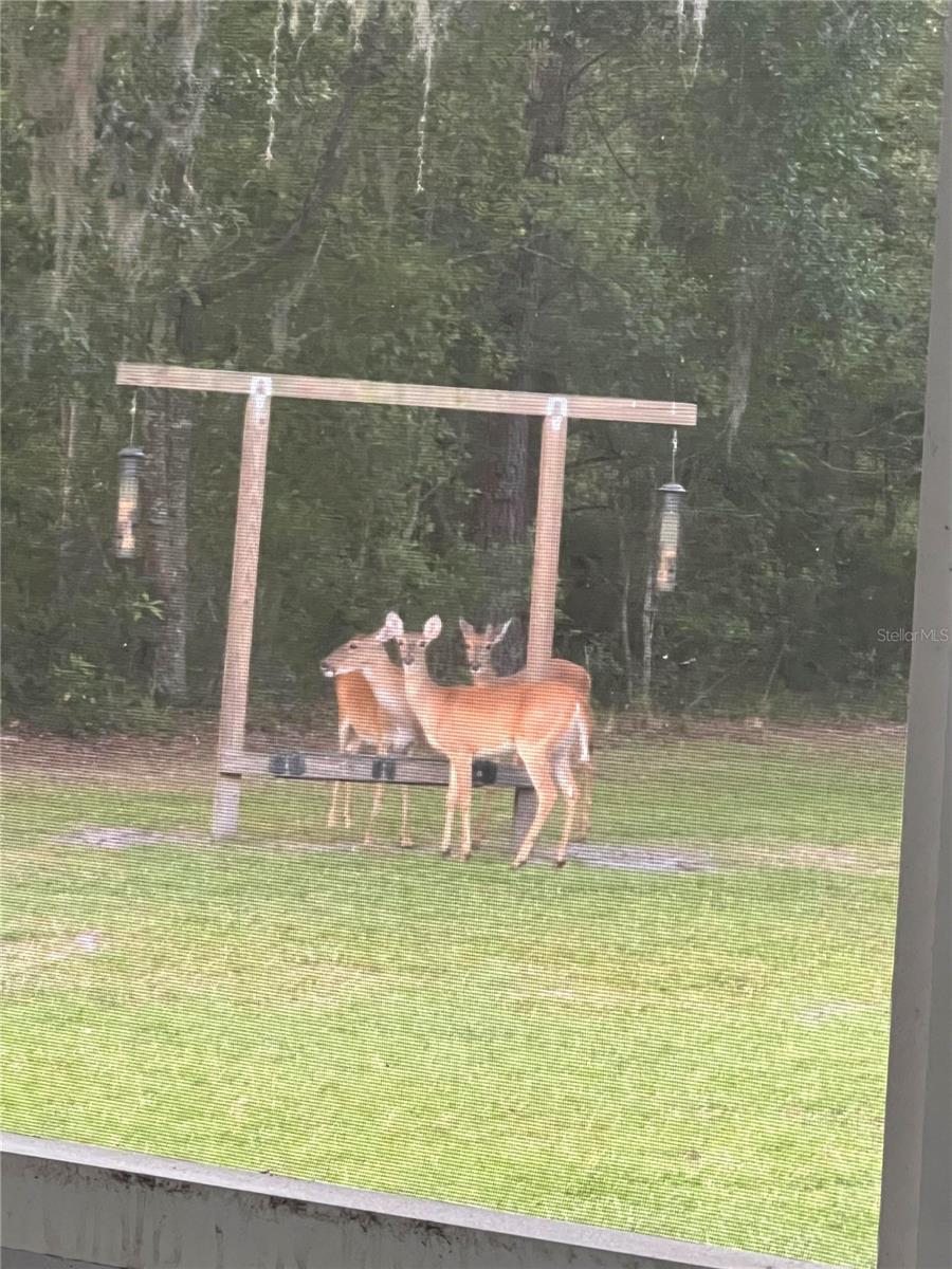 COBBLESTONE - Residential