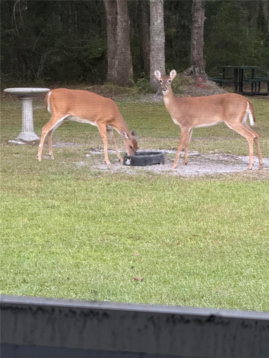 COBBLESTONE - Residential
