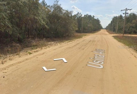 Photo of Usina Ave, Interlachen, FL 32148 (MLS # D6149131)