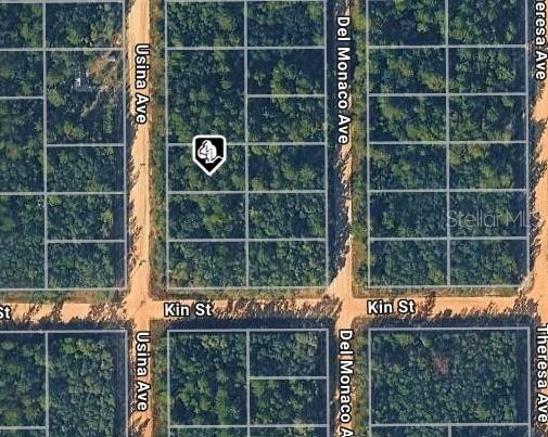 Photo of Usina Ave, Interlachen, FL 32148 (MLS # D6149131)