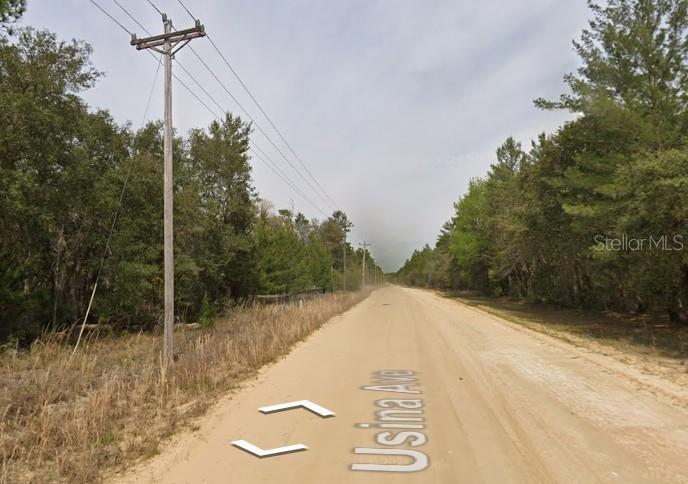 Photo of Usina Ave, Interlachen, FL 32148 (MLS # D6149131)