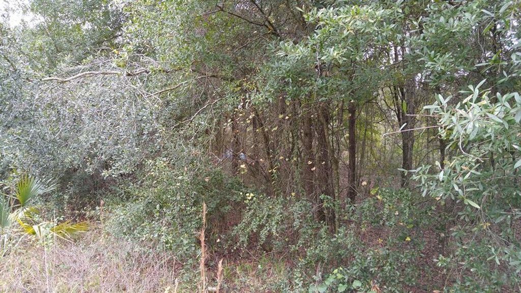 Photo of Rolling Meadow, Land O Lakes, FL 34639 (MLS # TB8457749)