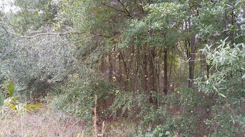 ROLLING MEADOW LAND O LAKES FL 34639