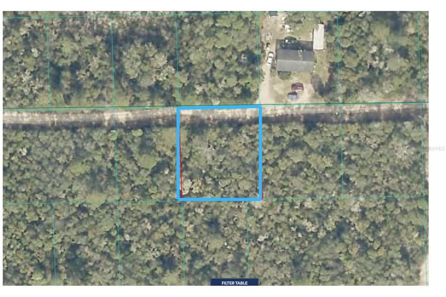 Looking for land in Fort McCoy? This one is zoned for site-built homes and mobile homes. Located near Lake Ocklawaha; this property is perfect to build your dream home. NO HOA, GPS Coordinates - Latitude: 29.490699 Longitude: -81.89778. LOT 19 on NE 233rd Lane. This land is zoned R4, which means that you can build a single-family home or add a mobile home. Don't forget that your right along the Ocala National Forest as well, so if you are looking for the country setting away from the city lights, then this may be the perfect land. The setbacks are 25 feet on the front and rear of the property, with setback for each side at 8 feet. Please refer to the County for the parcel location. All information is deemed reliable and shall be independently by buyer, including but not limited to zoning, land use, permitting and building restrictions. Great investment to hold on to or build.