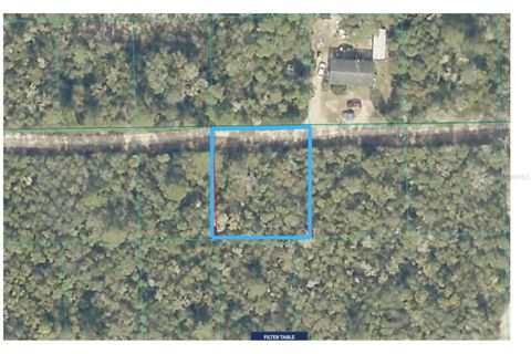 Lot 19 NE 233RD LANE FORT MC COY FL 32134