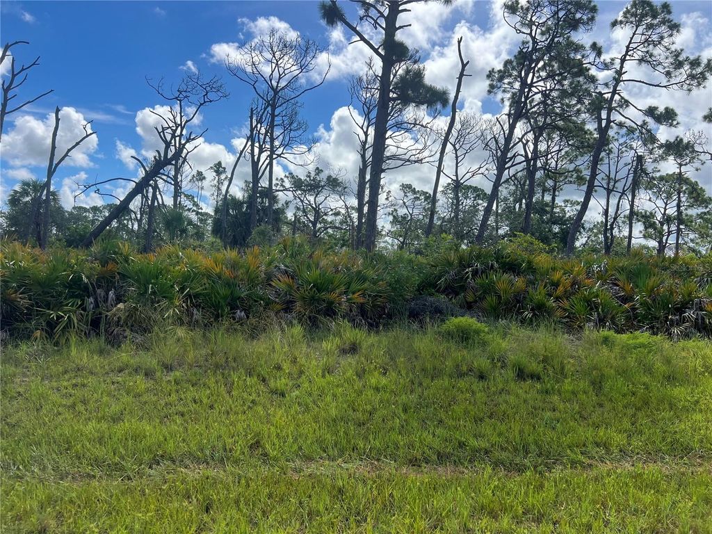 Photo of 140 Flower Rd, Rotonda West, FL 33947 (MLS # C7513132)