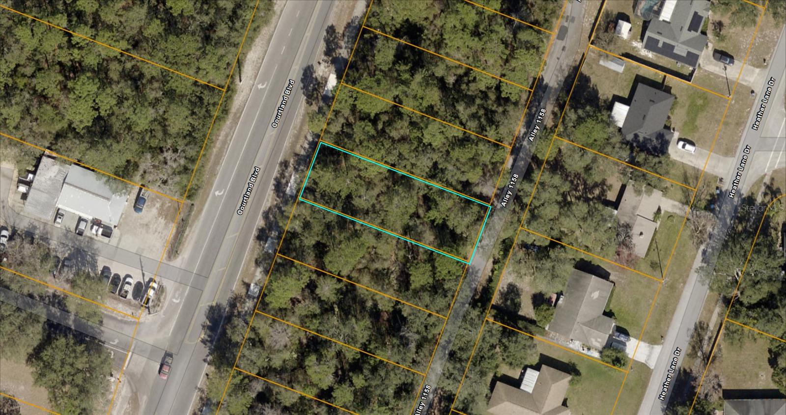 91 COURTLAND BOULEVARD