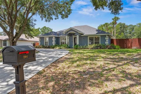 204 LORI COURT UMATILLA FL 32784