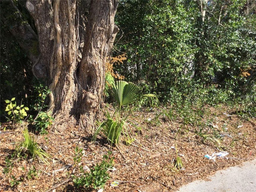 GREAT OPPORTUNITY FOR NICE BUILDABLE LOT. NICELY WOODED AND CLOSE TO DOWNTOWN DELAND