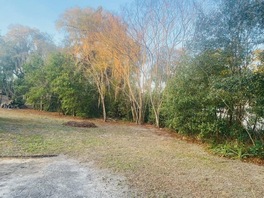 GREAT OPPORTUNITY FOR NICE BUILDABLE LOT. NICELY WOODED AND CLOSE TO DOWNTOWN DELAND
