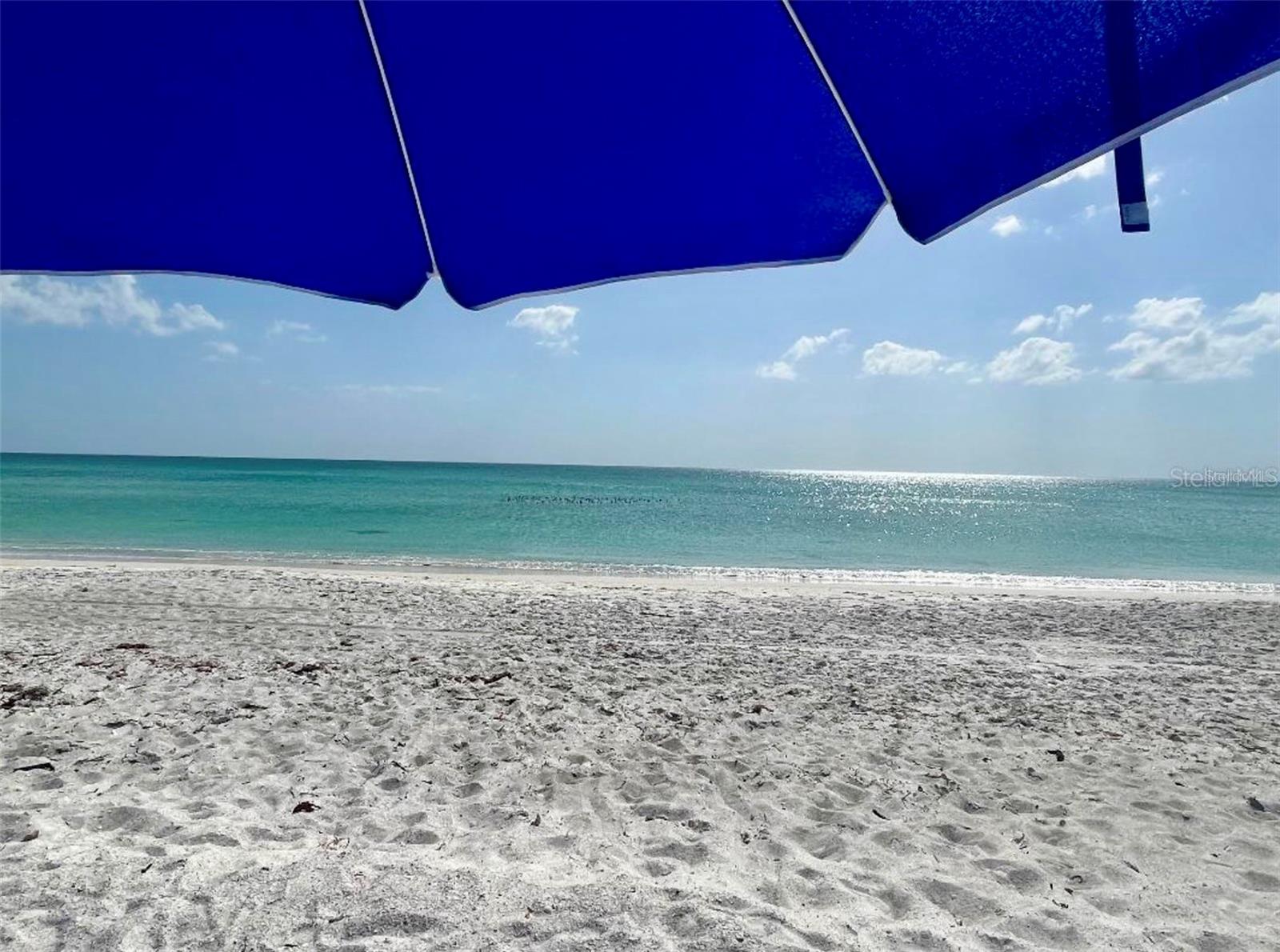 BAYPORT BCH & TEN PH F - Residential Lease