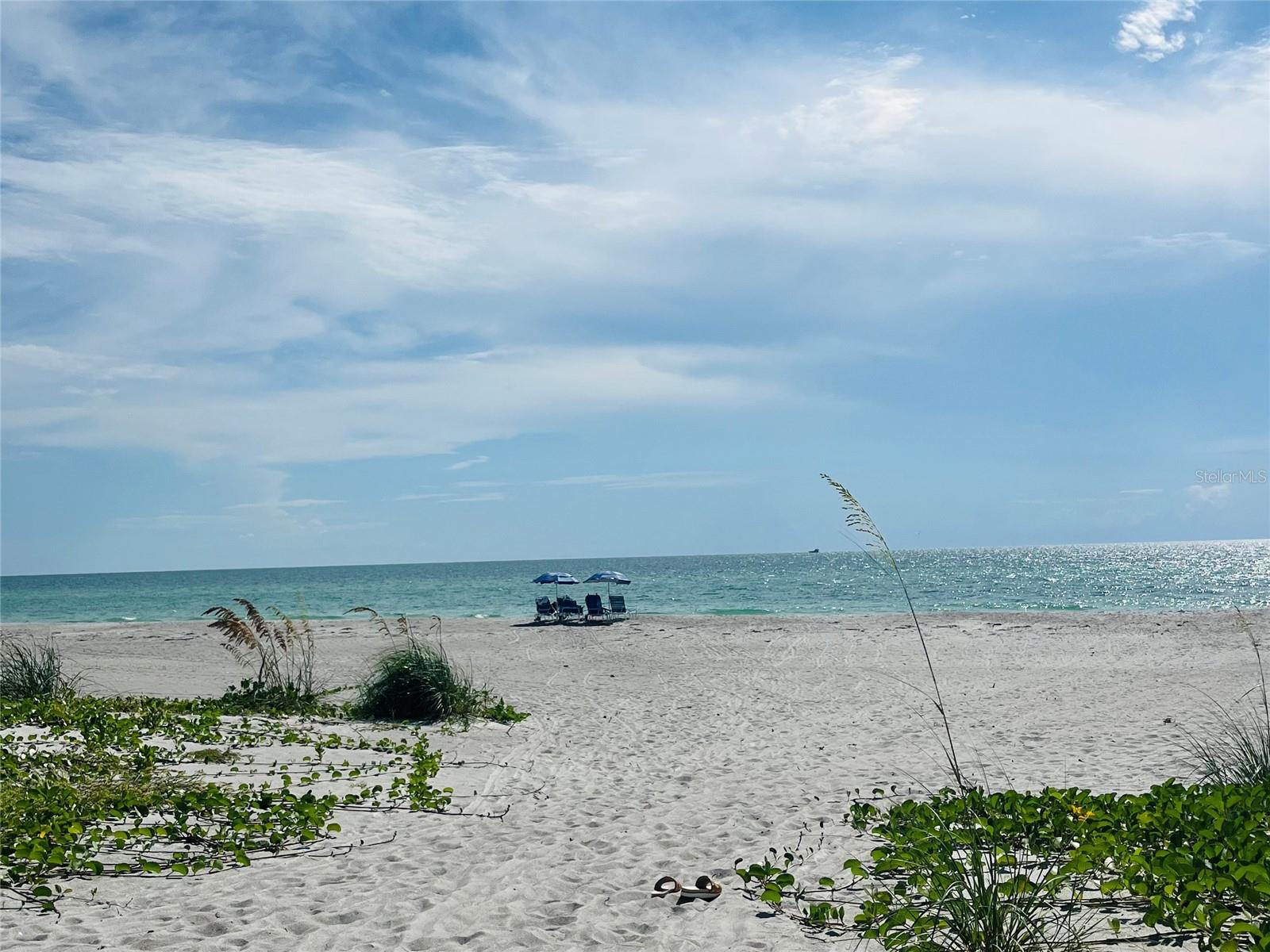 BAYPORT BCH & TEN PH F - Residential Lease