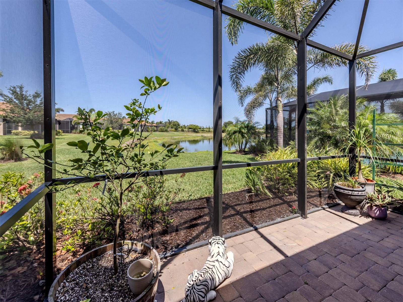 BELLACINA AT CASEY KEY - Residential