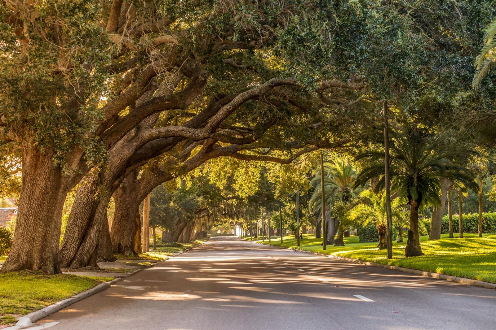 BELLACINA AT CASEY KEY - Residential