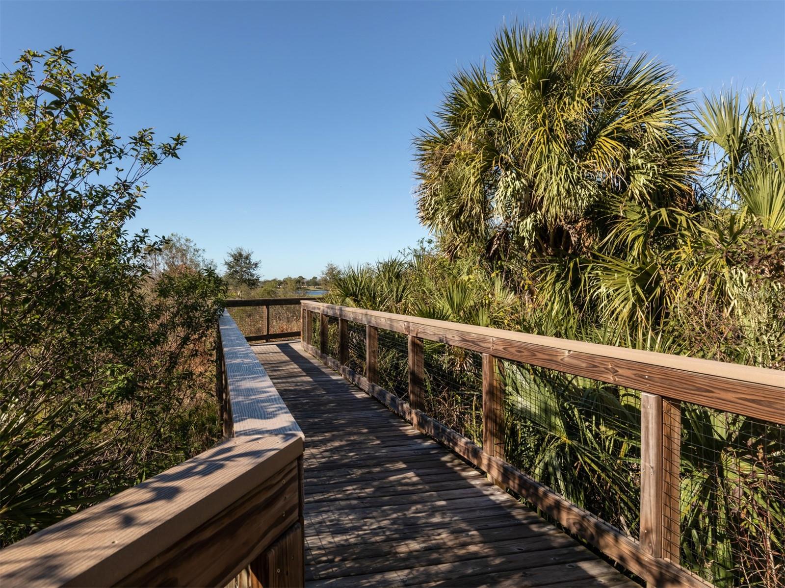 BELLACINA AT CASEY KEY - Residential