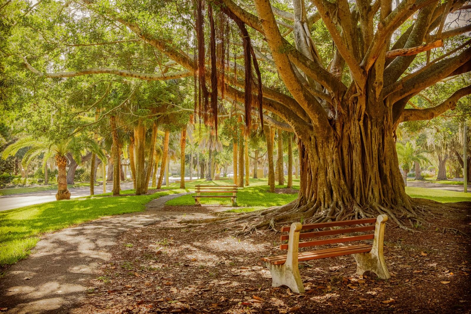BELLACINA AT CASEY KEY - Residential