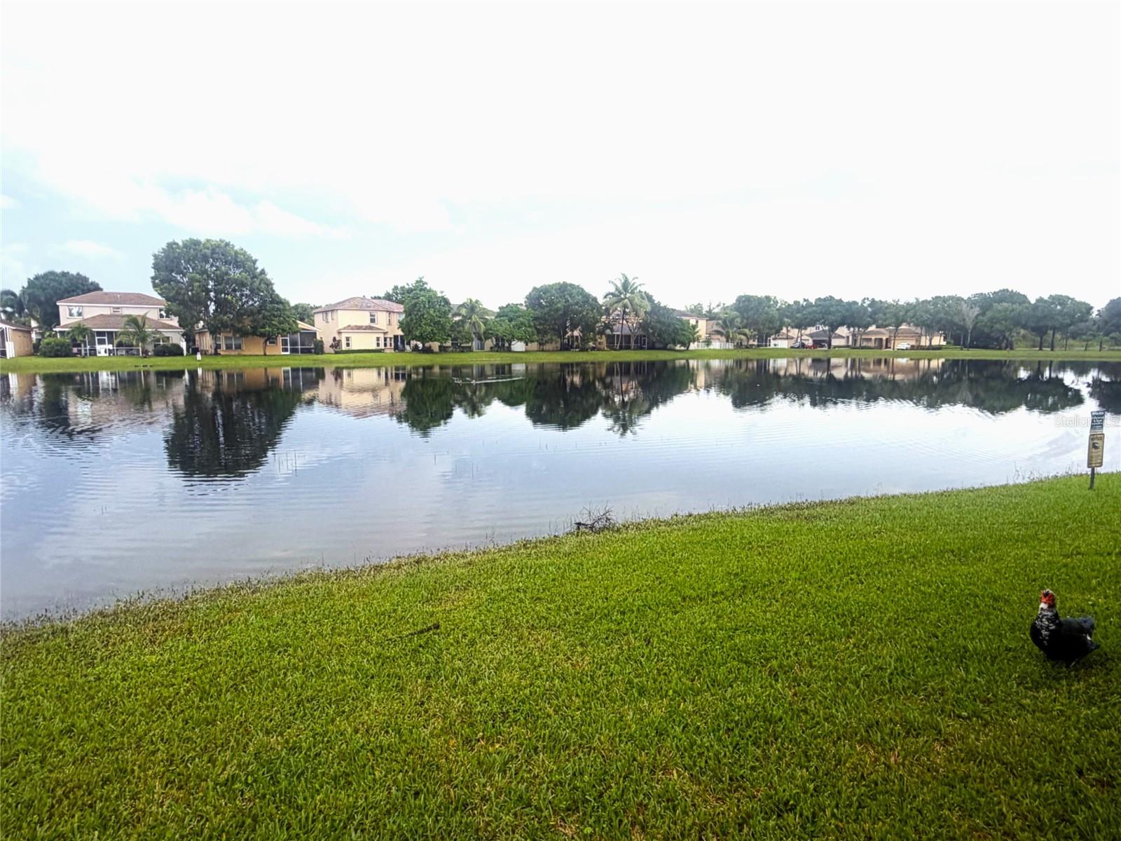 10355 LITTLE MUSTANG WAY