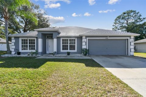 A home in DELTONA