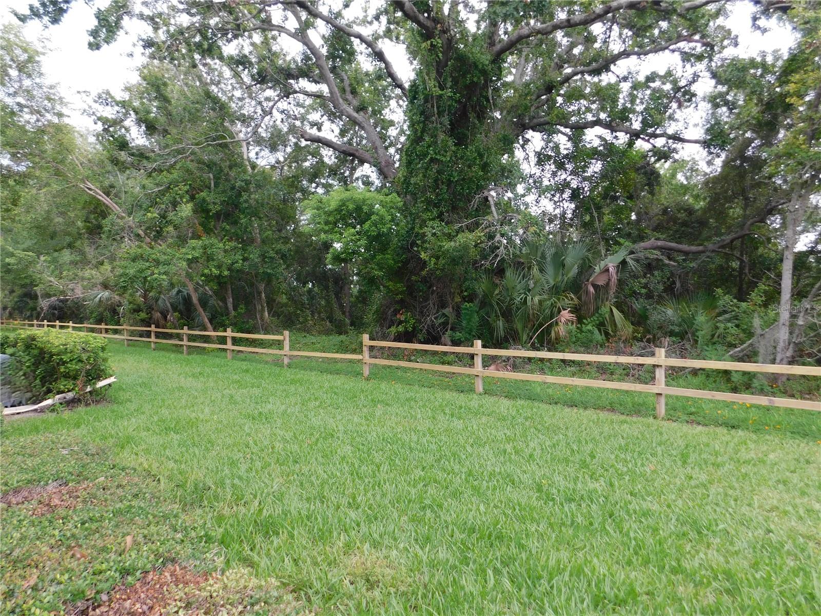 EAST LAKE WOODLANDS CYPRESS ESTATES - Residential