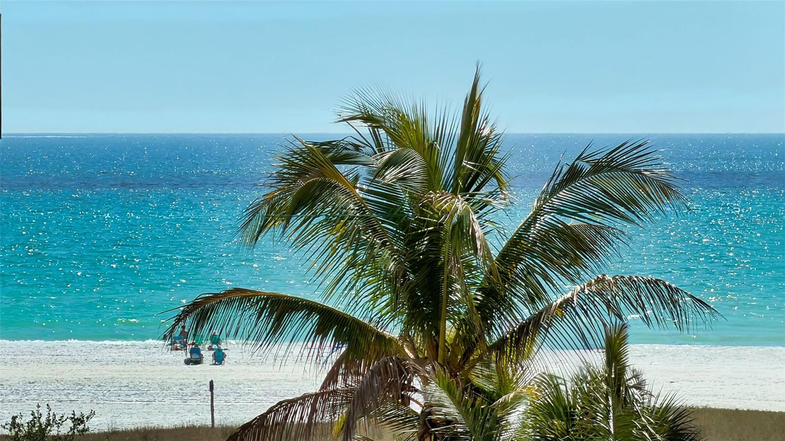 SARASOTA BEACH - Residential Income