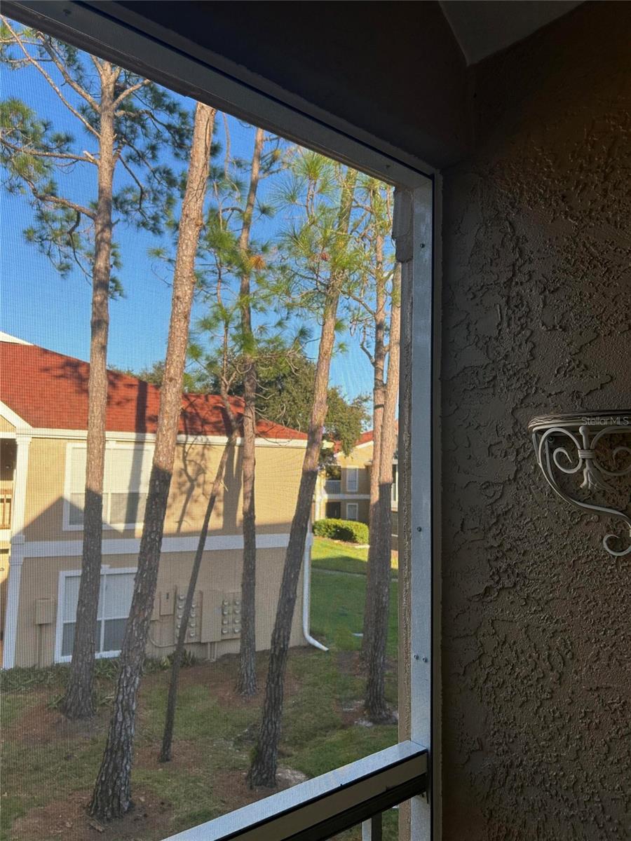 Photo of 9481 Highland Oak Drive #906, Tampa, FL 33647 (MLS # O6451439)
