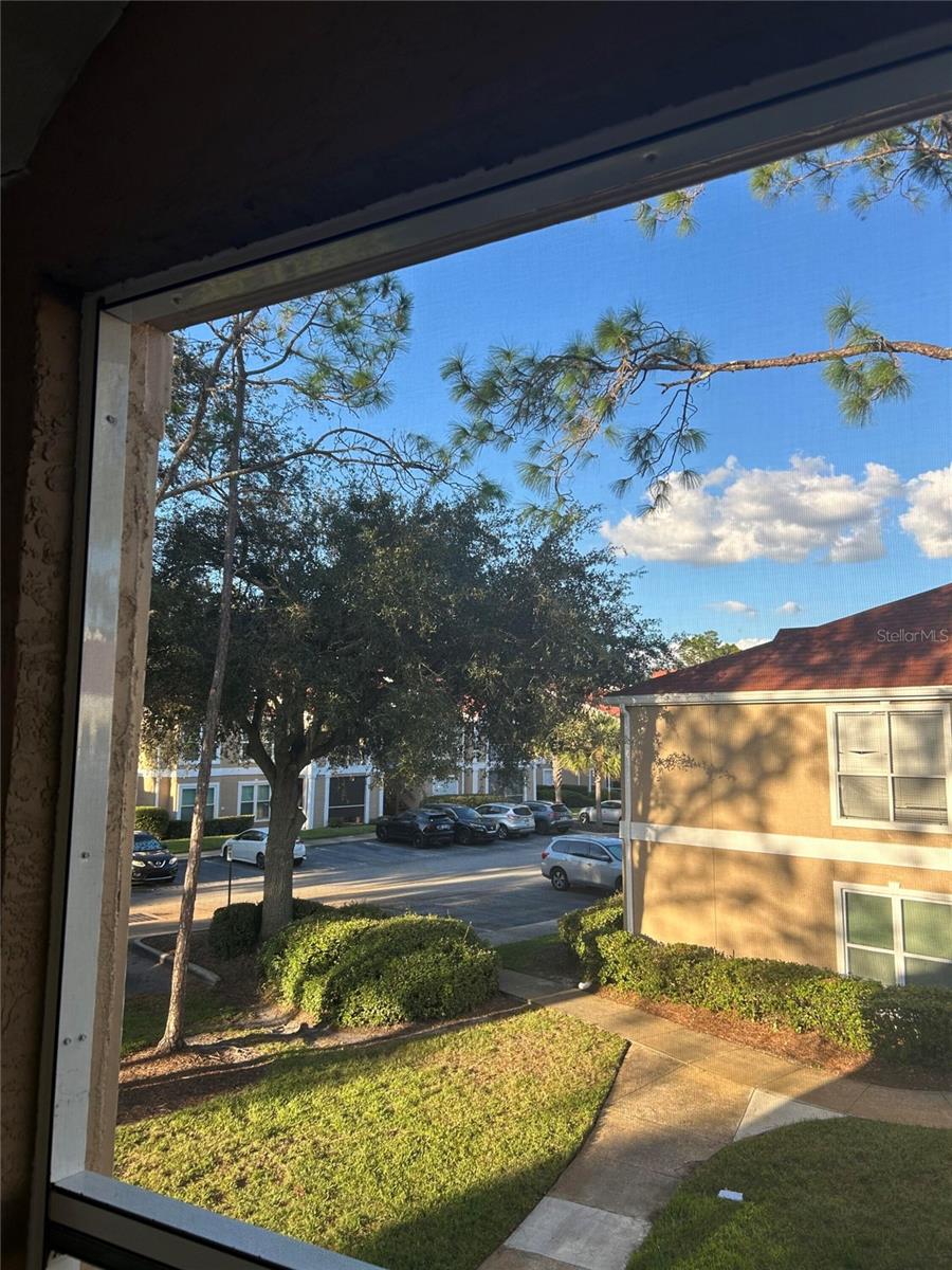 Photo of 9481 Highland Oak Drive #906, Tampa, FL 33647 (MLS # O6451439)