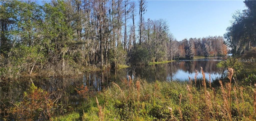 Photo of 11124 Lake Shore Drive, Land O Lakes, FL 34637 (MLS # TB8356879)