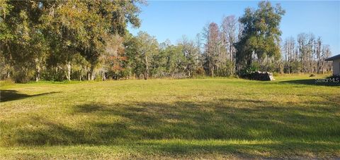 11124 LAKE SHORE DRIVE LAND O LAKES FL 34637