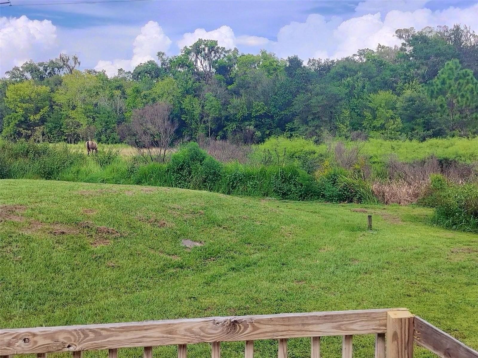 MEADOW VIEW OAKS - Residential