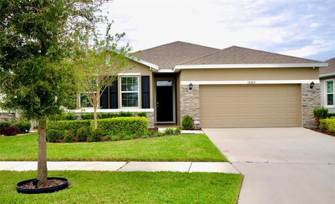 A home in RIVERVIEW