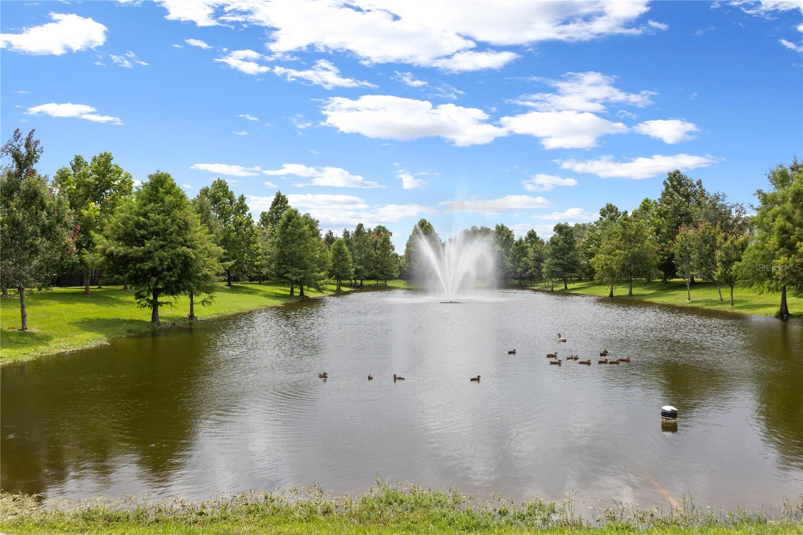 TOWNS AT WHITE CEDAR - Residential