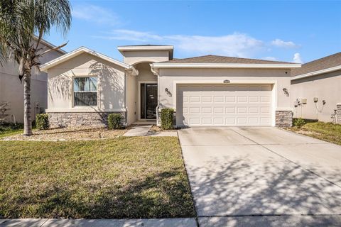 10604 SCENIC HOLLOW DRIVE RIVERVIEW FL 33578