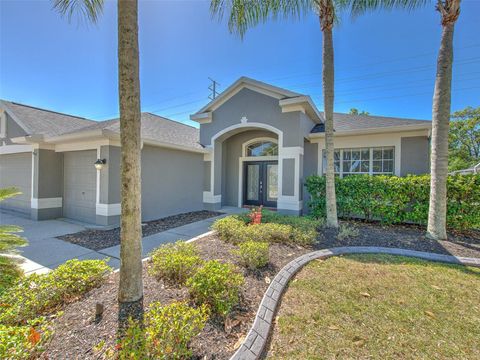 A home in LAND O LAKES