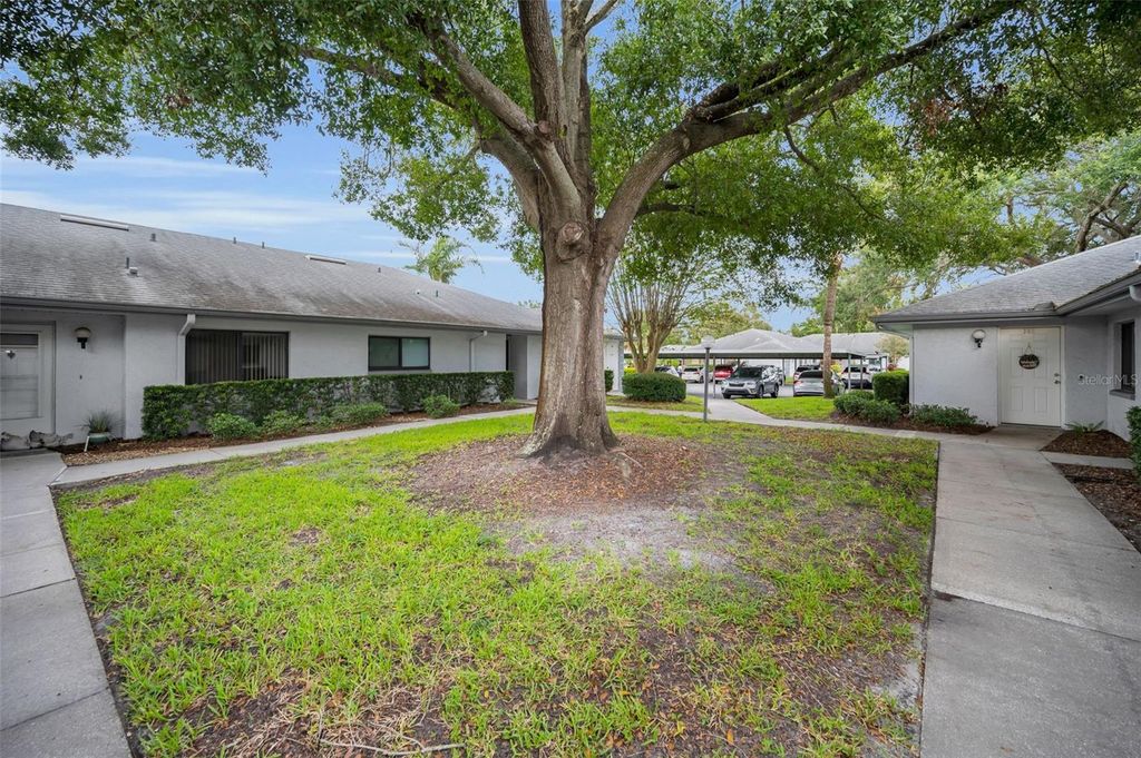 Photo of 2721 Countryside Boulevard #105, Clearwater, FL 33761 (MLS # TB8429044)