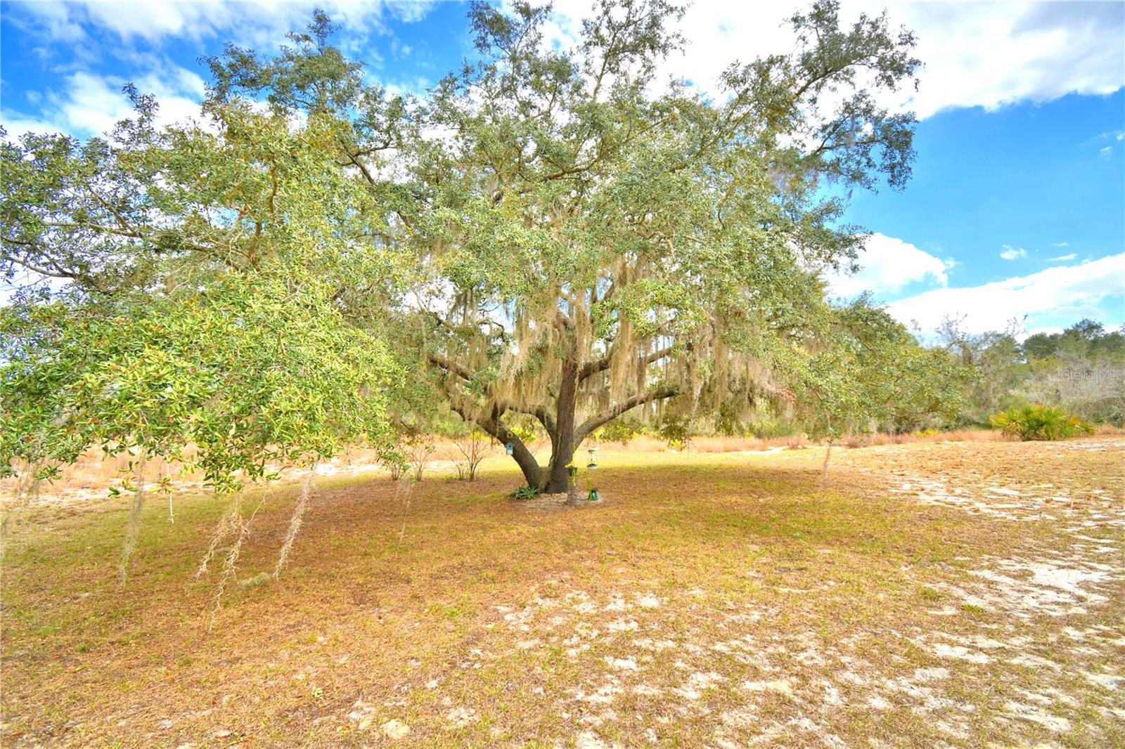 MIARNI GREEN VLY - Residential