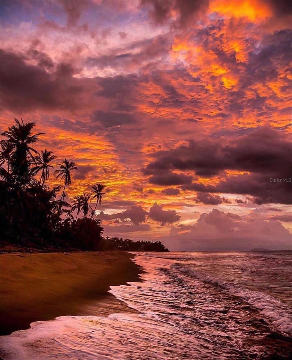 PUNTAS - Residential