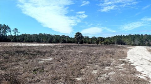 Tiny photo for 13550 NW Old Fannin Road, Chiefland, FL 32626 (MLS # OM717918)