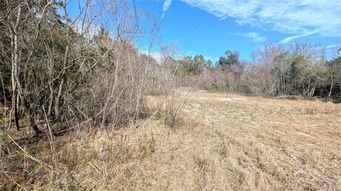 Tiny photo for 13550 NW Old Fannin Road, Chiefland, FL 32626 (MLS # OM717918)