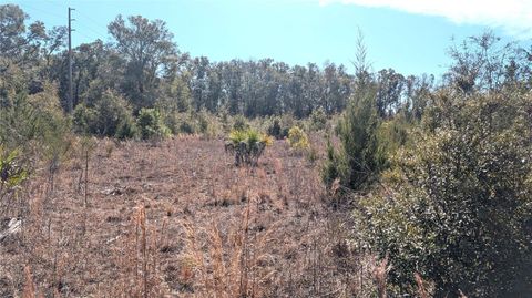 Tiny photo for 13550 NW Old Fannin Road, Chiefland, FL 32626 (MLS # OM717918)