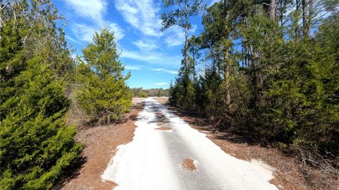 Tiny photo for 13550 NW Old Fannin Road, Chiefland, FL 32626 (MLS # OM717918)