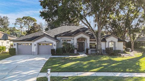 Photo of 15818 Fairchild Drive, Tampa, FL 33647 (MLS # TB8450903)