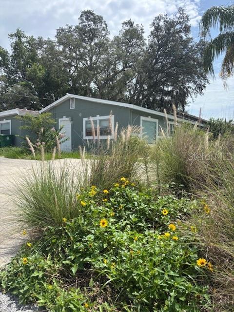 Are you looking for a property to add your personal touches to and or do Airbnb with. This house is perfect for it. About one to two blocks from Busch Gardens, and within minutes to the University of South Florida, is this perfectly located house. Over 2300 square feet. There are 3 existing bedrooms, a room without a window which could be another bedroom, and the back room which could be transformed into another master suite. Potential for 5 bedrooms.Two existing bathrooms with potential for another 2. Additionally there is another room that needs a door which could be a den. With 3 living spaces perfect for dining, lounging and entertainment. The water heater and roof are 2022. The house has ample of street parking. Buyers and their agents to do complete due diligence on all listing information.