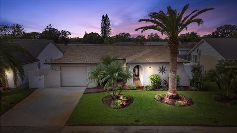 A home in PORT RICHEY